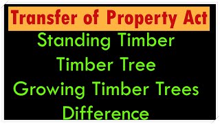 Standing Timber, Timber Trees, Growing Timber Trees Difference #tlpacademy