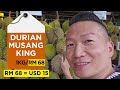 did you just fart meet the world’s stinkiest durian musang king