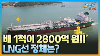 세계 최강 대한민국 LNG선의 가치ㅣ#뉴튜브 사진관[64회] / YTN2