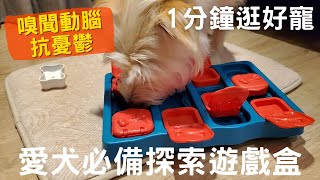 拒絕憂鬱！變聰明～｜outward hound｜狗狗藏食嗅聞益智玩具｜★HAPET 好寵 (hapet.com.tw)