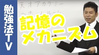 【１分間勉強法（石井貴士）】記憶のメカニズム  エビングハウスの忘却曲線って知ってる？