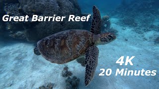 SCUBA Diving the Great Barrier Reef in 4K