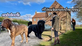 ถูกทำโทษแล้ว... ต้องทำแบบนี้เพื่อความสบายใจของทุกคน | Nammy E