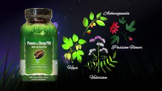 Irwin Naturals Power To Sleep