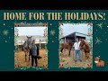 Home For the Holidays! - Horse Plus Happenings Vlog #43 | 12-8-2024