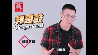 ECHO李昶俊 - 邦哥鼓 Bongo drum『Beatbox一週一教學』Lesson 43