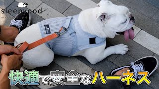 【ペット用品紹介】海外製のオシャレで使い心地の良いペット用ハーネス【sleepypod Martingale  Harness】