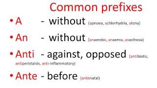 Medical terms - common prefixes