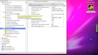 Beginning iOS Development: Xcode Fundamentals