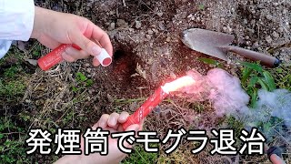 畑のモグラ対策　発煙筒でモグラ退治