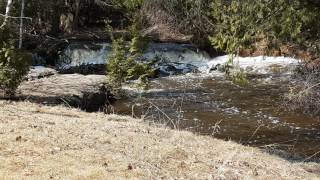 McVicar Creek(4)