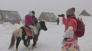 鳥海高原花立で遊ぼう～みんなで雪あそび2021～（令和3年2月8日放送）【秋田県由利本荘市】