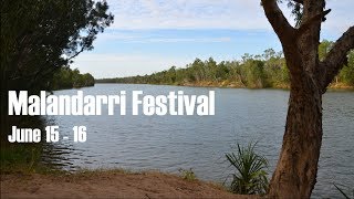 Malandarri - Borroloola