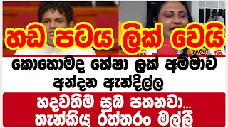 කොහොමද හේෂා ලක් අම්මාව අන්දන ඇන්දිල්ල | මෙන්න ඒ හඩ පටය ලික් වෙයි