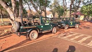 Tadoba  Andhari Tiger Reserve,  Chandrapur district , Maharashtra state ,India