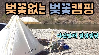 [캠핑VLOG] 블랙디어 티피텐트로 벚꽃캠핑하러 벚꽃명당 홍천 노지캠핑장 갔는데.. 감성캠핑은 폭망, 그냥 현실캠핑 / 봄캠핑 / 접대캠핑 / 우정캠핑 / 안동찜닭 밀키트