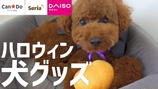 【ハロウィン】100均で買える犬グッズ購入品紹介【ダイソー】【Can Do】【Seria】