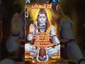 புல்லாகிப் பூடாய் திருவாசகம் மாணிக்கவாசகர் சிவபெருமான் சிவபுராணம் சைவசித்தாந்தம் சிவபக்தி yt