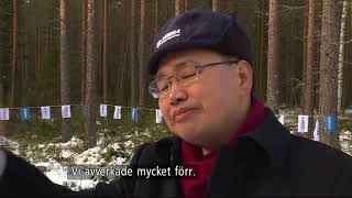 Kina lär sig skog i Sverige - Nyheterna (TV4)