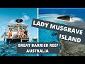 (DRONE) DAY TRIP TO LADY MUSGRAVE ISLAND, GREAT BARRIER REEF