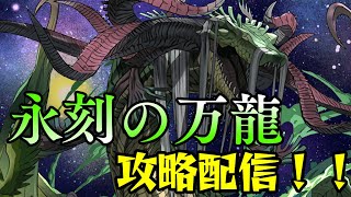 【パズドラ】万寿チャレンジ攻略配信！！day1【初見さん大歓迎】