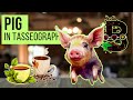 The Pig Symbol in Tasseography: Unlock the Secrets of Your Cup! 🐖☕