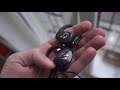 bliiq hummingbird review sport wireless earphones