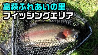 【管釣り】高萩ふれあいの里フィッシングエリアで10匹釣るまで帰れません【前編】