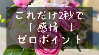 宇宙が教えてくれた知恵♪振動さえ本質のあなたに一致すれば大丈夫！