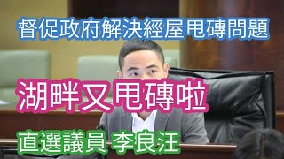 湖畔永寧甩磚未解決，政府建築商俾d誠意啦。