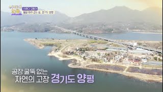 [어쩌다하루] 10회 – 어쩌다 모퉁이, 물길 따라 걷는 길, 경기도 양평