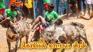 jallikattu கொம்பில் மாட்டிய வீரன்// கீழையூர்- மேலப்பழுவூர்/ வேணுகோபால் அவர்களின் காளை