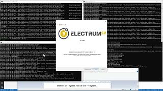 ElectrumSV: merchant API, peer channels, headers client and tip filtering