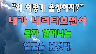 신청사연 // 최신 이야기 // N3