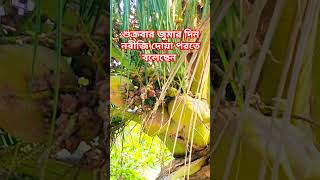 শুক্রবার জুমার দিন নবীজি দোয়া পরতে বলেছেন #trending #shortvideo #shortsvideo @nadiasvlog8338