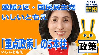 【衆院選2021愛媛2区】いしいともえ・国民民主党「重点政策」の5本柱【比例四国・立候補予定】