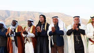 الهجيني الفلسطيني - الفنان علاء ناطور - النسخة الأصلية