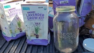 Back to the Roots Lavender Grow Kits in Canning Jars on Clearance, 96% off! What did YOU prep today?