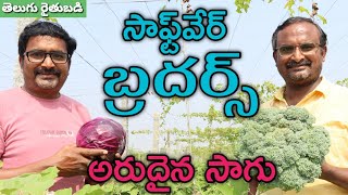 అరుదైన పంటల సాగులో సాఫ్ట్ వేర్ ఇంజినీర్ సోదరులు | Software Brothers Agriculture | తెలుగు రైతుబడి