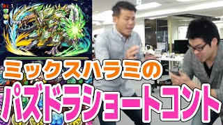 【パズドラ】ノルディス降臨にハラミックスと挑む！