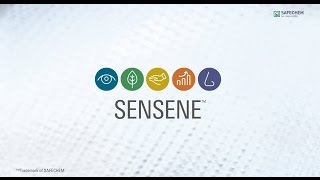 SENSENE™ – the new modified alcohol solvent for dry cleaning and textile cleaning