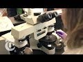 When DNA Changed the World of Forensics | Retro Report Preview | The New York Times