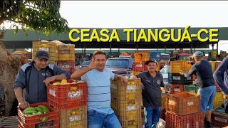 FEIRA NA CEASA DE TIANGUÁ-CE 7/1/2025