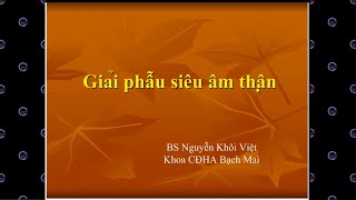 #08 Siêu âm Thận, Bàng quang. Ths. BS.  Nguyễn Khôi Việt