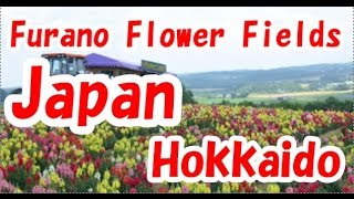 Japan Travel:  A Picture Perfect View at the Furano Flower Fields, Hokkaido 03 Moopon