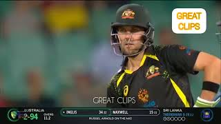 Glenn Maxwell And Josh Inglis funny mixup running between the wickets