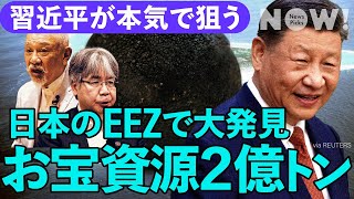 「日本は資源大国になれる」習近平も狙う南鳥島EEZの海底レアメタルがついに産業化へ（経済安全保障/レアメタル/レアアース/レアアース泥/東大/日本財団/大統領選挙）