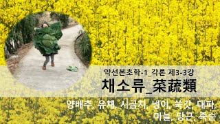 약선본초학-1_각론_제3-3강_야채류 양배추, 유채, 시금치, 냉이, 쑥갓, 대파, 마늘, 당근, 죽순