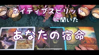 ネイティブスピリットに聞いたあなたの宿命✨【オラクル】カードリーディング