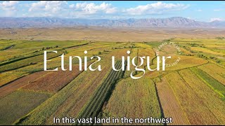 Etnia Uigur #xinjiang #comida #food #travel #viajes #turismo #china